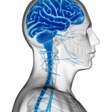 Plasticità del cervello nel recupero post ictus